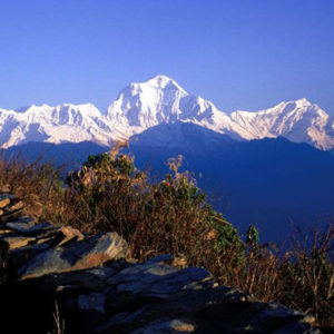Dhaulagiri mountain view from ghorepani poonhill