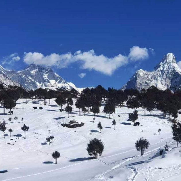 everest high pass trek
