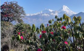 How to spend 7 days in Nepal?