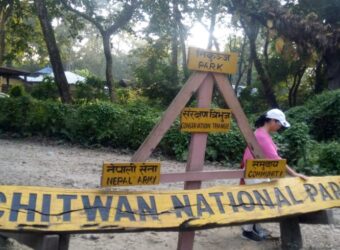 Chitwan Tour Package: 3-Day and 2 Nights Tour in Chitwan