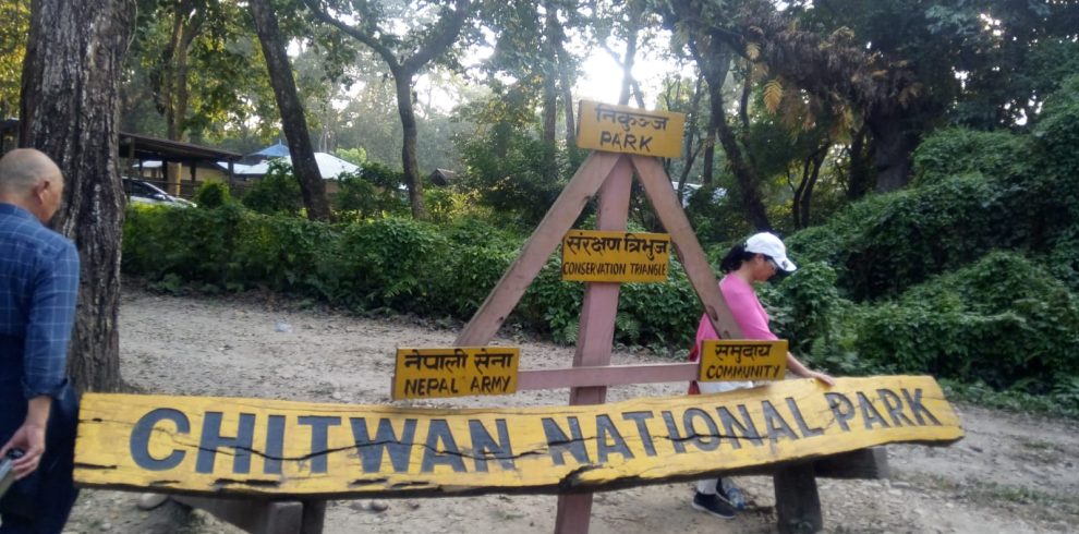 Chitwan Tour Package: 3-Day and 2 Nights Tour in Chitwan