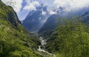 ABC, Bamboo to Himalaya