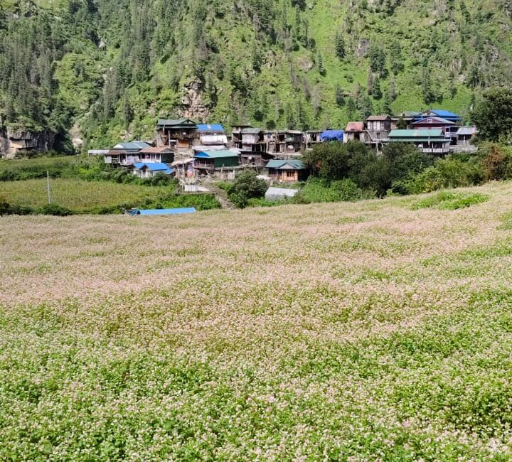 Tsum Valley Manaslu Trek