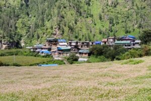 A view of Tal Gaun with buckwheat field on foreground 