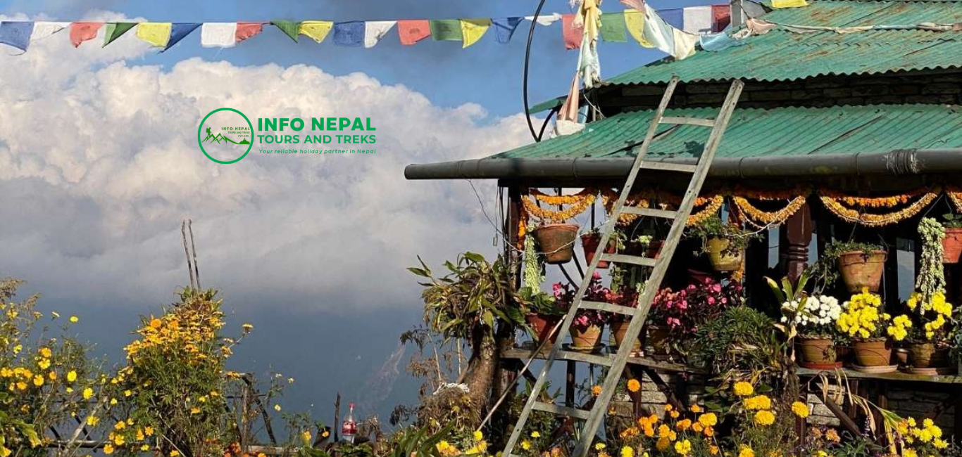 Australian Base Camp Hiking from Pokhara – 1 Day Trek