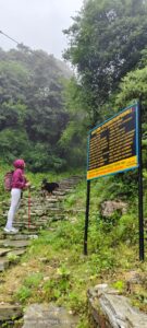 A female trekker standing on stone steps beside signboard looking uphill during the Annapurna circuit trek.