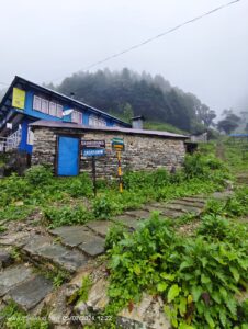 a stone paved trail with typical houses with tin-roofed structures on the trail while descending from Ghorepani to Nayapul 