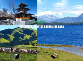 Danphe Route Trek: Nepal’s New Far-West Trail (An Honest Guide)